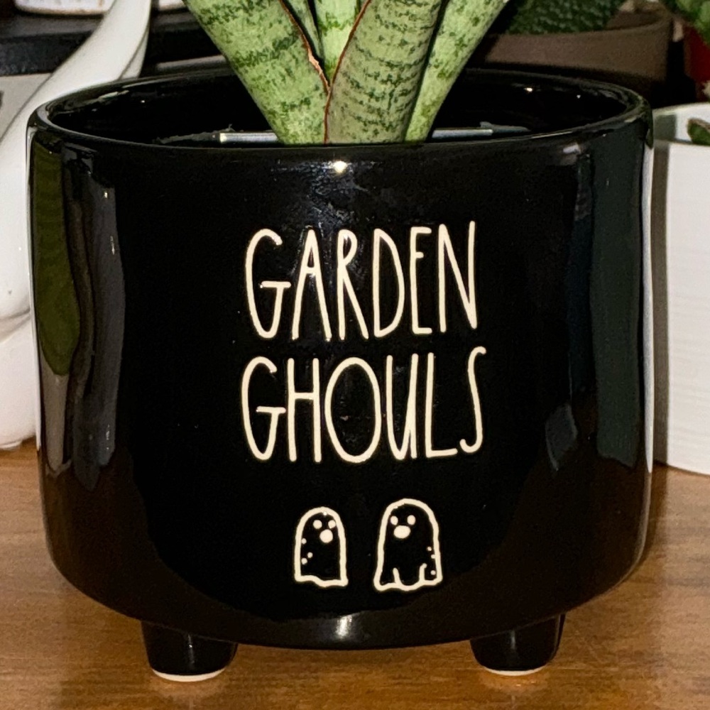 Rae Dunn GARDEN GHOULS Footed Planter / Pot